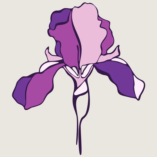 Fleur d'iris vecteur. Illustration vectorielle — Image vectorielle