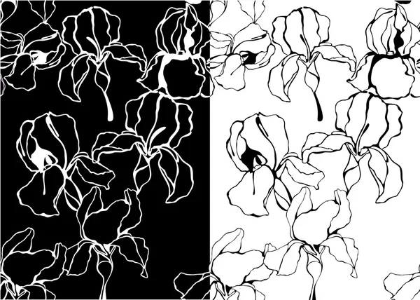 ブラック ・ ホワイト iris 花とベクトル パターンのセット — ストックベクタ