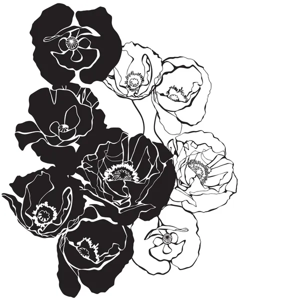 Fundo delicado com flores de papoilas decorativas. Ilustração vetorial com silhuetas em preto e branco — Vetor de Stock