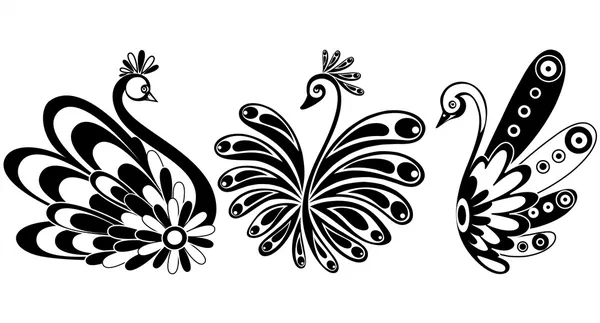Conjunto de vetores com três cisnes fantásticos ornamentais - pássaros com ornamentos floresce — Vetor de Stock