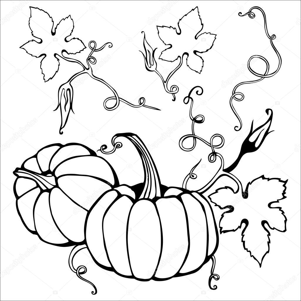 Hand drawn pumpkin and creepy plant elements