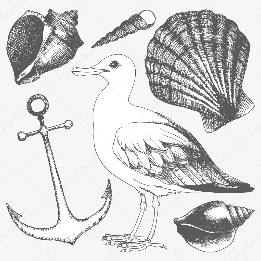 Vector collection of hand drawn sea illustrations