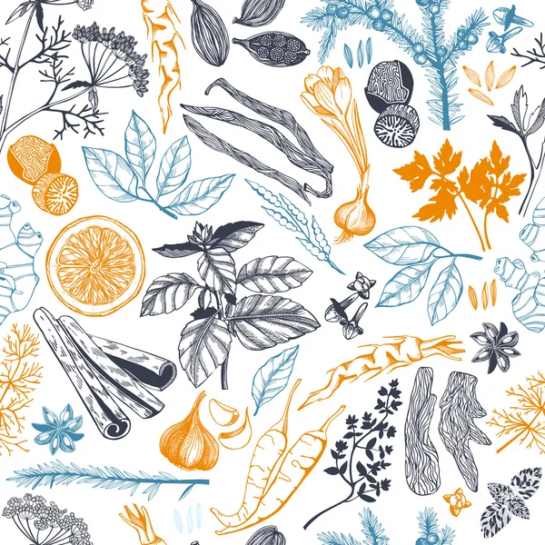 Vector seamless pattern with hand drawn spices illustrations — Stock Illustration Vector seamless pattern with hand drawn spices illustrations Stock Illustration