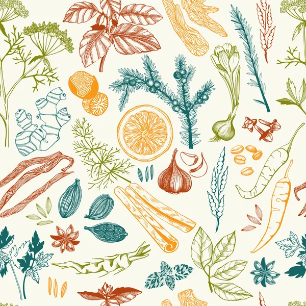 Seamless vector pattern with hand drawn spices and herbs — Stock Vector