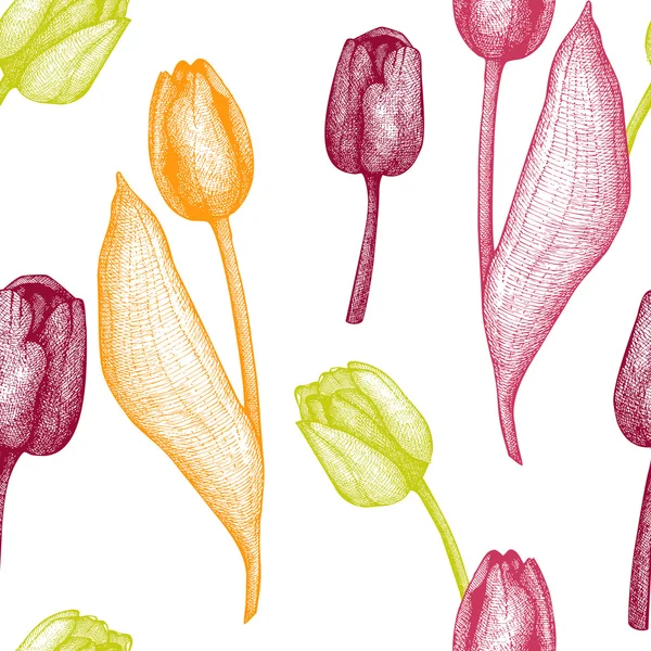 Patter tulipa vector sem costura —  Vetores de Stock