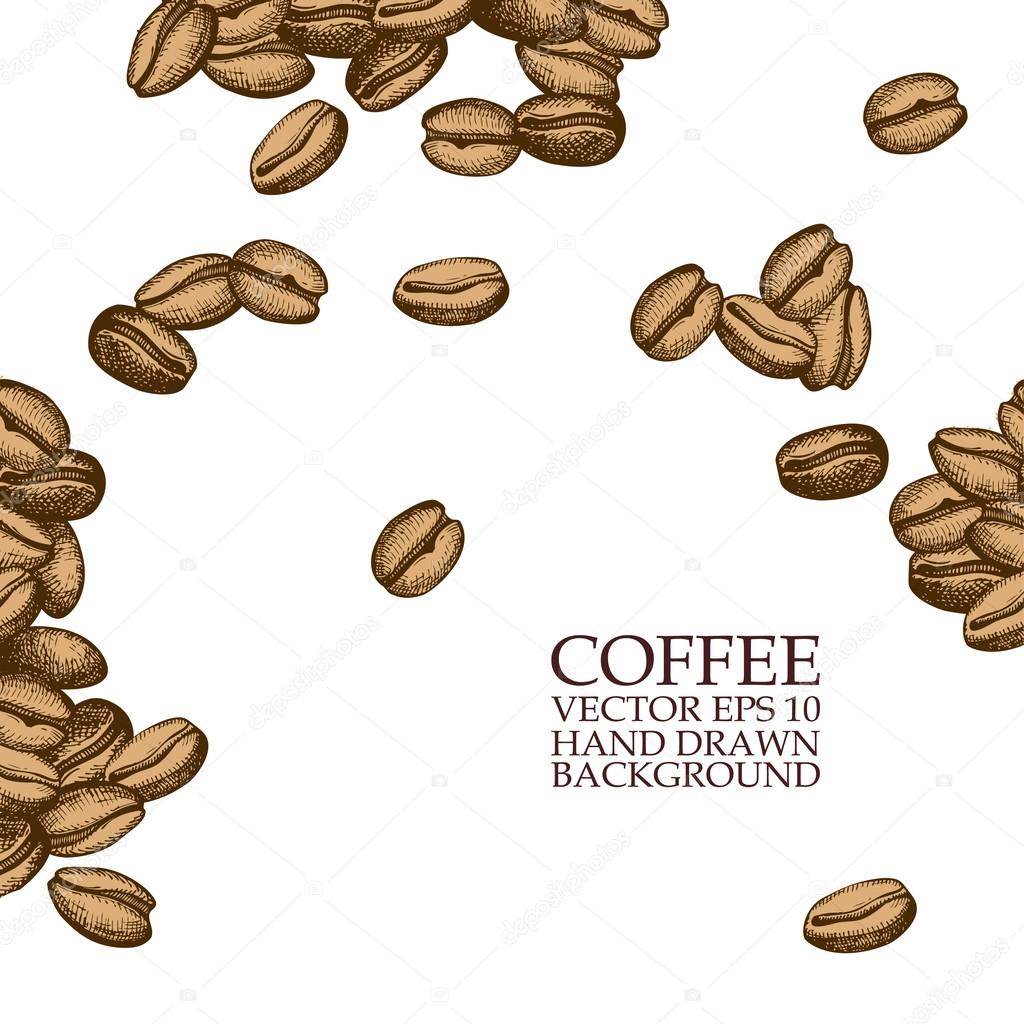 Vector background with hand drawn natural coffee beans