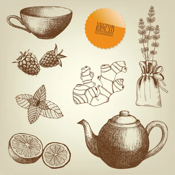 Tea time and spices — Stock Vector