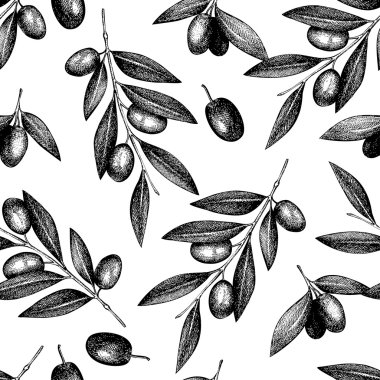 zeytin ağacı dal