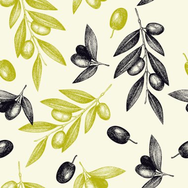 zeytin ağacı dal