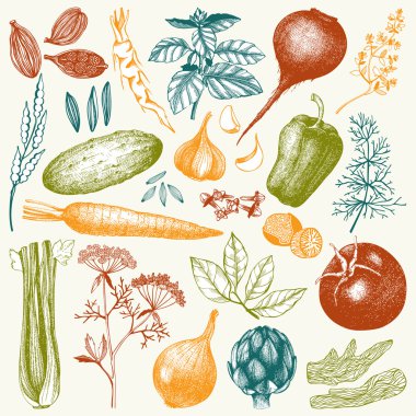 otlar ve baharatlar ile sebze