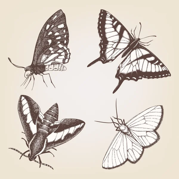 Papillons dessinés à la main — Image vectorielle