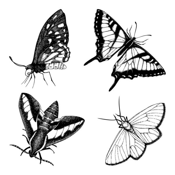 Papillons dessinés à la main — Image vectorielle