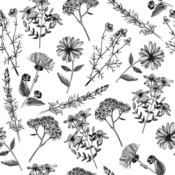 Herbes et plantes dessinées à la main — Image vectorielle