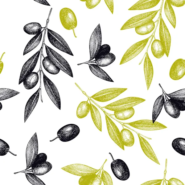 Gałązki drzewa oliwnego — Wektor stockowy