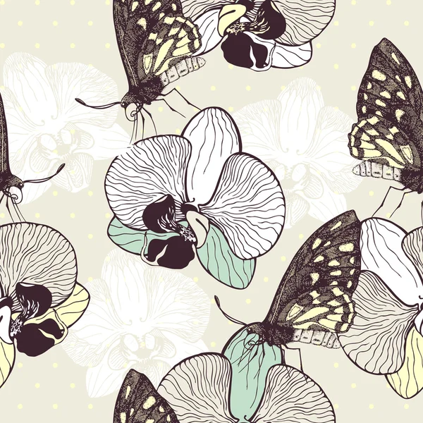 Орхидеи цветы и бабочки — стоковый вектор