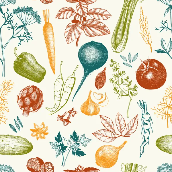 Légumes aux herbes et épices — Image vectorielle