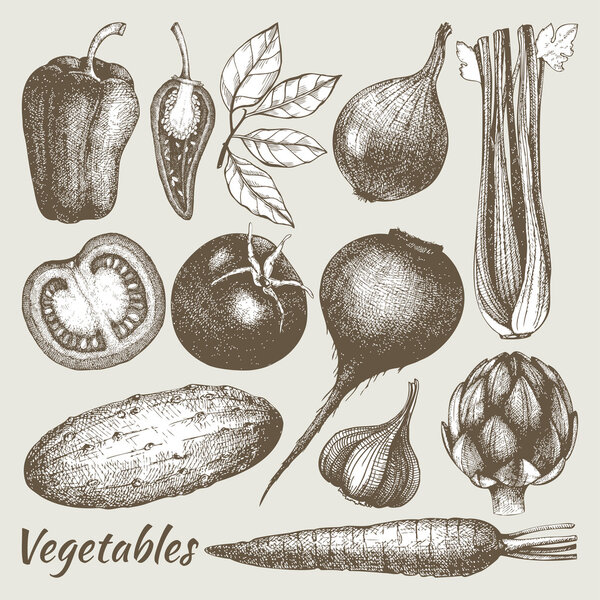 Hand drawn vintage vegetables