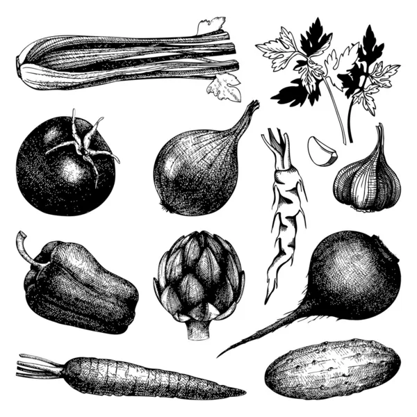 Handritade grönsaker — Stock vektor