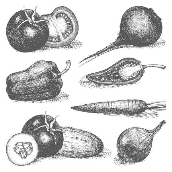 Ručně kreslená zelenina — Stockový vektor
