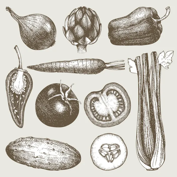 Legumbres y hortalizas — Archivo Imágenes Vectoriales