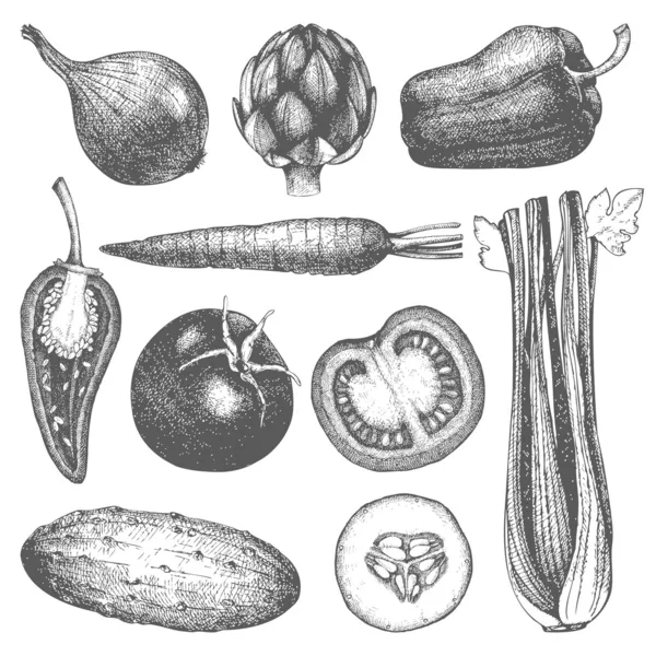 Légumes tirés à la main — Image vectorielle