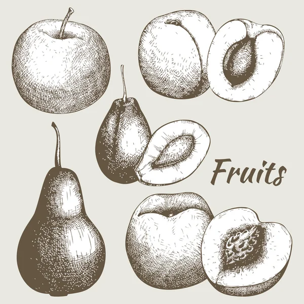 老式水果图 — 图库矢量图片