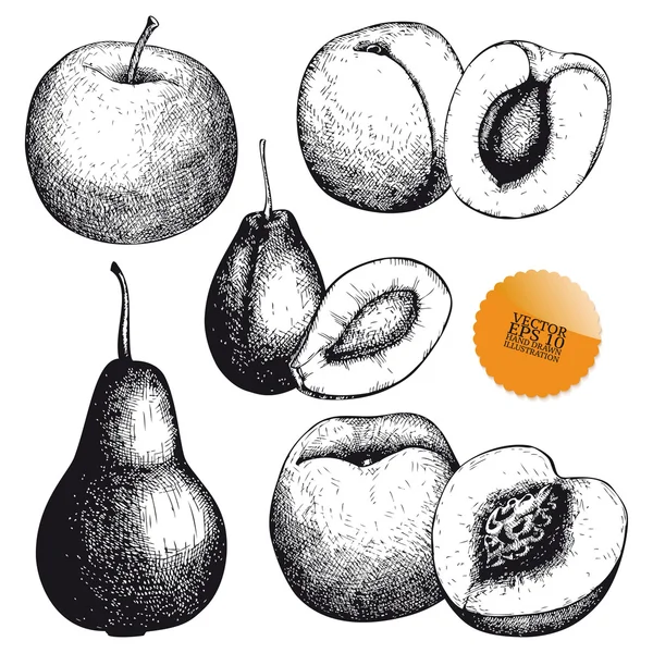 Fruits tirés à la main — Image vectorielle