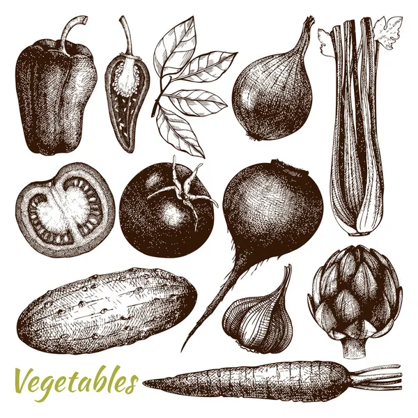 Hand drawn vintage vegetables — Stock Illustration Hand drawn vintage vegetables Royalty Free Stock Illustrations