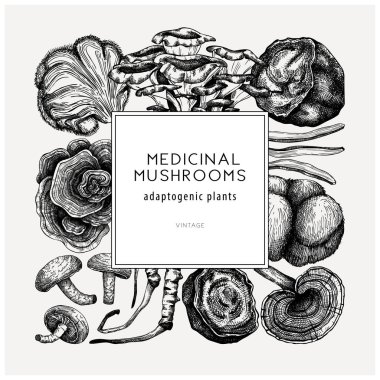 Medicinal mushroom square design. Hand-sketched adaptogenic plants frame. Perfect for recipe, menu, label, packaging. Hand sketched mushroom outlines. Botanical illustrations. clipart