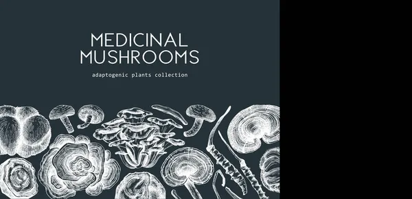 Лікувальний Грибний Фон Дошці Дизайн Каркасу Ручних Адаптогенних Рослин Ідеально — стоковий вектор
