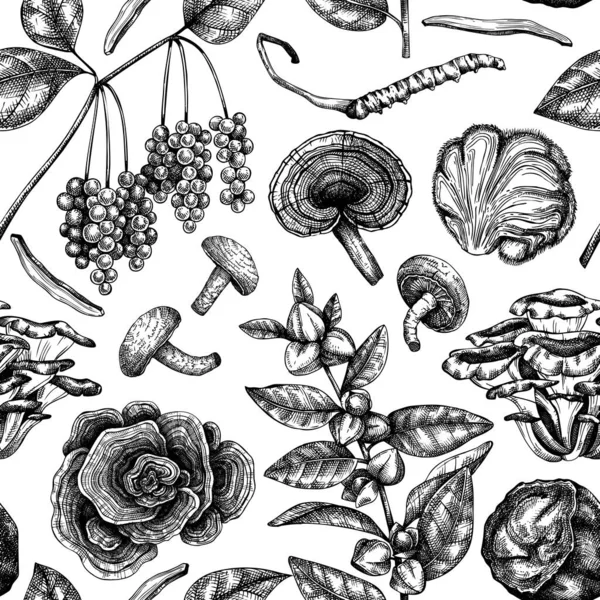 药物计划和蘑菇背景 手绘自适应植物无缝图案 完美的配方 传统医学和Ayurveda的植物草图A — 图库矢量图片