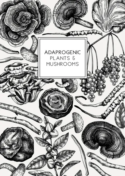 공장들 버섯들 수작업으로 삽화들 식물성 허브를 배경으로 아유르베다 화장품 무늬를 — 스톡 벡터