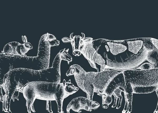 Ilustraciones Vectoriales Animales Granja Dibujados Mano Pizarra Vaca Lama Burro — Vector de stock