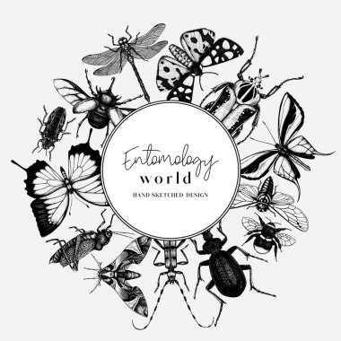 Hand-sketched insect wreath template. Hand drawn beetles, bugs, butterflies, dragonfly, cicada, moths, bee illustrations in vintage style. Entomological frame vector  design. clipart