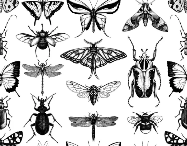 Bezproblémový Vzor Ručně Kresleným Hmyzem Ručně Kreslení Brouci Brouci Motýli — Stockový vektor