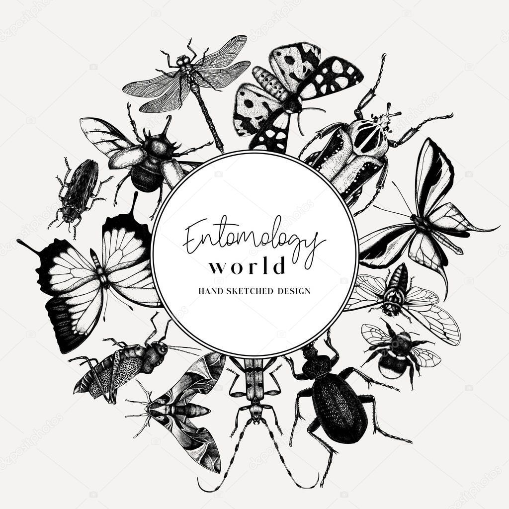 Hand-sketched insect wreath template. Hand drawn beetles, bugs, butterflies, dragonfly, cicada, moths, bee illustrations in vintage style. Entomological frame vector  design.