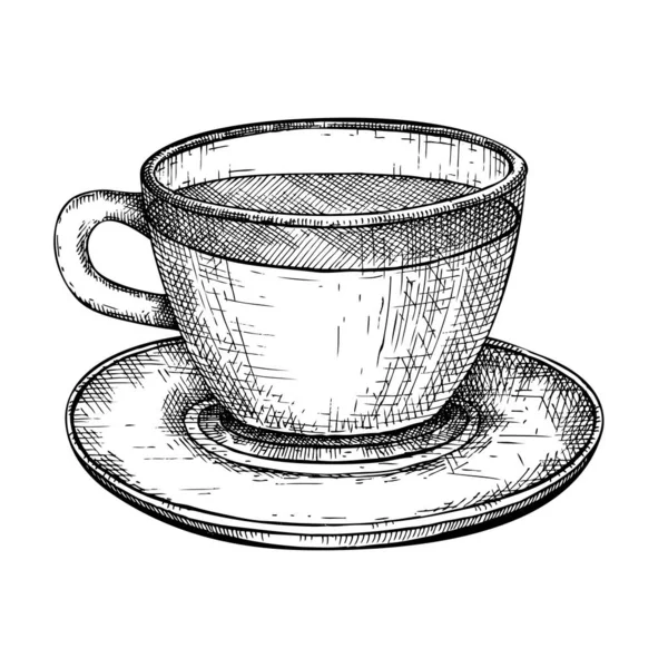 Намальований Вручну Чай Жасмину Скляній Чашці Векторний Ескіз Популярного Напою — стоковий вектор