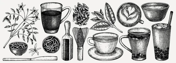 Handskizzierte Teegetränke Und Zutatenliste Vektor Skizzen Von Heißgetränktassen Getrockneten Blättern — Stockvektor