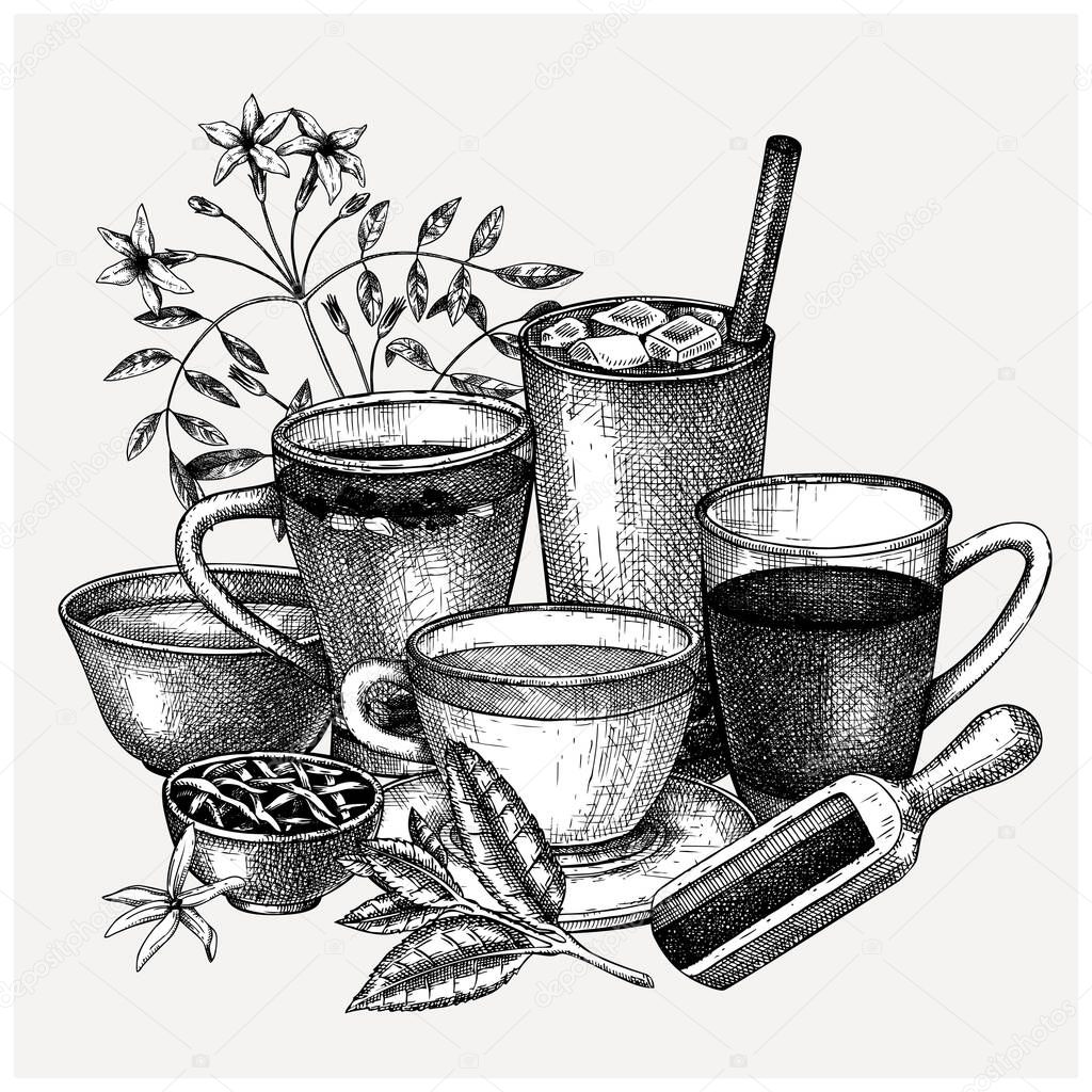 Hand-sketched  tea drinks vintage illustration. Vector sketches of hot beverage cups, dried leaves, jasmine blossoms. Popular tea drawings for card or invitation or cafe menu design