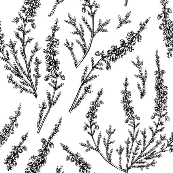 Ручной Набросок Вереска Фон Винтажные Летние Цветы Рисуют Бесшовный Рисунок — стоковый вектор