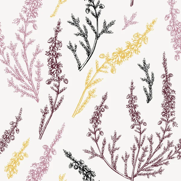 Handskizzierter Heidekrauthintergrund Vintage Sommerblumen Zeichnen Ein Nahtloses Muster Traditionelle Pflanze — Stockvektor