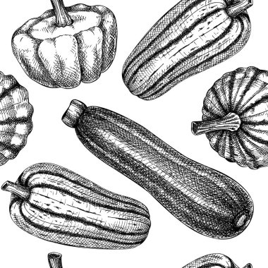 Taze Pattypan kabağı eskiz geçmişi. Elle çizilmiş, dikişsiz sebze deseni. Sağlıklı gıda bitkisi. Çiğ kabaklı vektör arkaplanı. Market, market, ambalaj için patisson, 