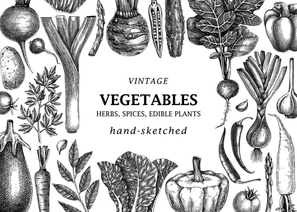 Handritad Vegetabilisk Vintage Ram Handritade Tomater Squash Paprika Potatis Sparris — Stock vektor