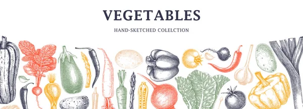 手绘素色素描设计 手工制作的西红柿 芦笋和其他蔬菜 健康食品横幅菜单 植物学说明 — 图库矢量图片