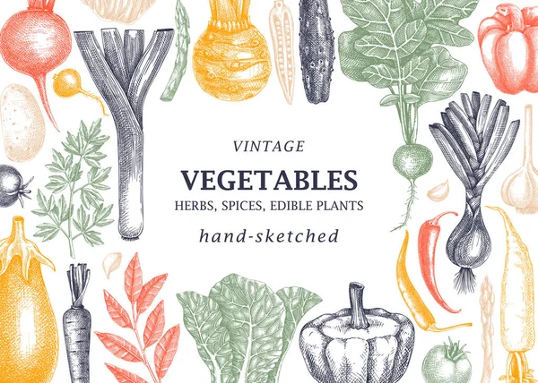 Marco Cosecha Vegetal Dibujado Mano Dibujos Dibujados Mano Tomates Calabazas — Vector de stock