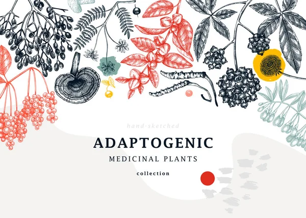 Plantas Adaptogénicas Fondo Moda Estilo Collage Hierbas Medicinales Esbozadas Mano — Vector de stock