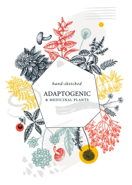 Adaptogenic Plants Trendy Background Collage Style Hand Sketched Medicinal Herbs — Archivo Imágenes Vectoriales