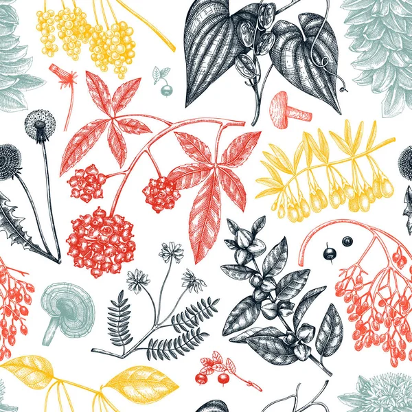 Adaptogenic Plants Seamless Pattern Hand Sketched Medicinal Herbs Weeds Berries — Vector de stock