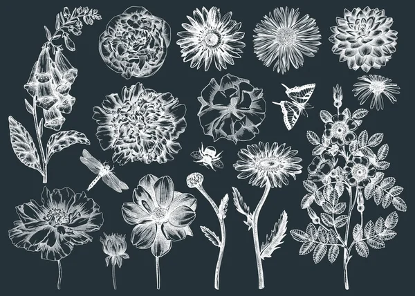 Coleção Ilustrações Flores Desenhadas Mão Vintage Florais Verão Conjunto Desenho —  Vetores de Stock