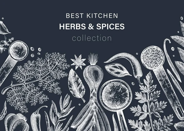 Hand Drawn Herbs Spices Vector Banner Chalkboard Hand Sketched Food — Vetor de Stock